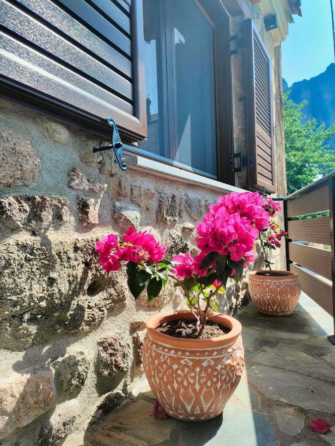 The Stone House Villa Kalampáka Luaran gambar